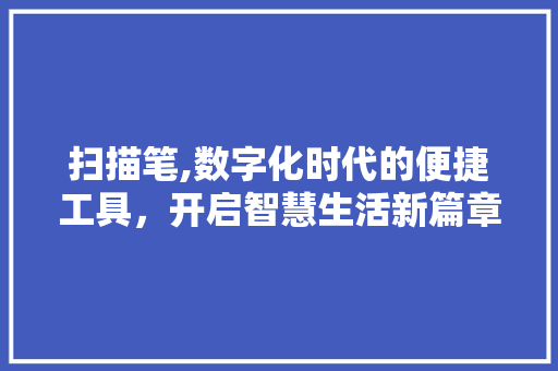 扫描笔,数字化时代的便捷工具，开启智慧生活新篇章