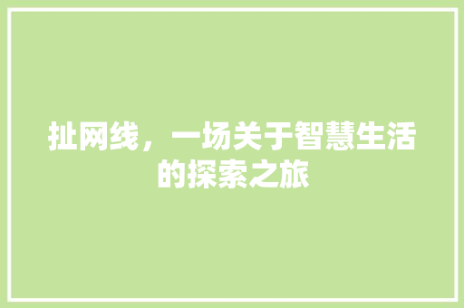 扯网线，一场关于智慧生活的探索之旅 Web前端