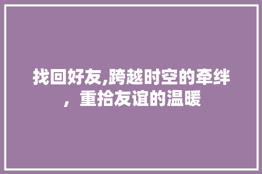 找回好友,跨越时空的牵绊，重拾友谊的温暖