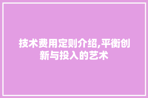 技术费用定则介绍,平衡创新与投入的艺术