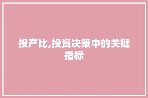 投产比,投资决策中的关键指标