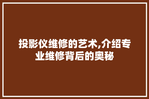 投影仪维修的艺术,介绍专业维修背后的奥秘
