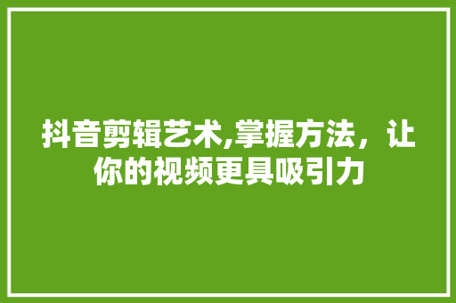 抖音剪辑艺术,掌握方法，让你的视频更具吸引力