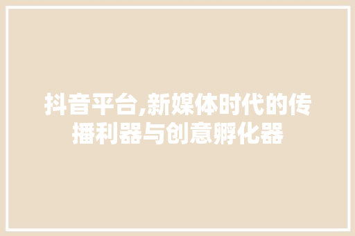 抖音平台,新媒体时代的传播利器与创意孵化器 WordPress教程
