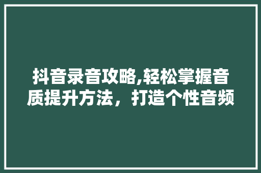 抖音录音攻略,轻松掌握音质提升方法，打造个性音频作品 Web前端