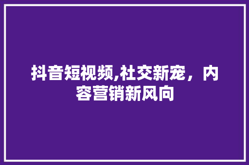抖音短视频,社交新宠，内容营销新风向 建站教程