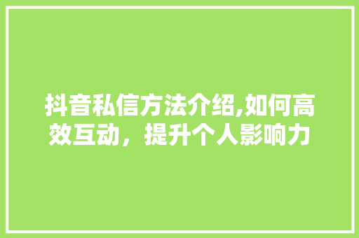 抖音私信方法介绍,如何高效互动，提升个人影响力 SEO教程