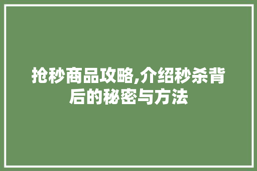抢秒商品攻略,介绍秒杀背后的秘密与方法