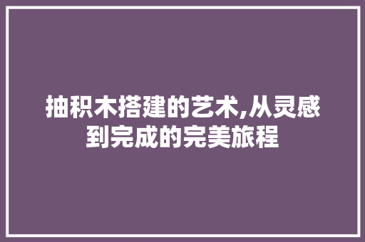 抽积木搭建的艺术,从灵感到完成的完美旅程
