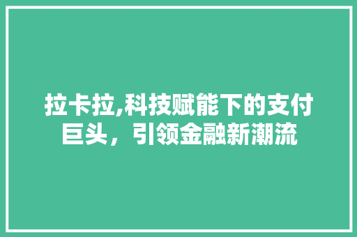 拉卡拉,科技赋能下的支付巨头，引领金融新潮流