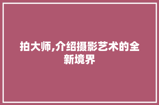 拍大师,介绍摄影艺术的全新境界 SEO教程