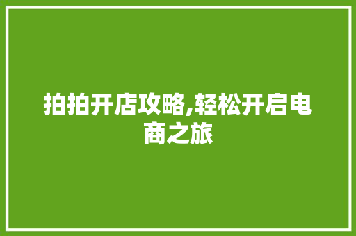 拍拍开店攻略,轻松开启电商之旅
