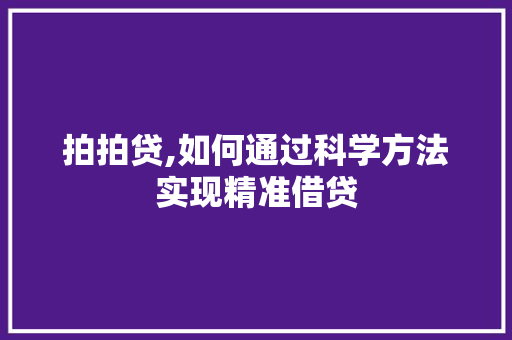 拍拍贷,如何通过科学方法实现精准借贷