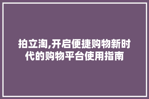 拍立淘,开启便捷购物新时代的购物平台使用指南 SEO教程