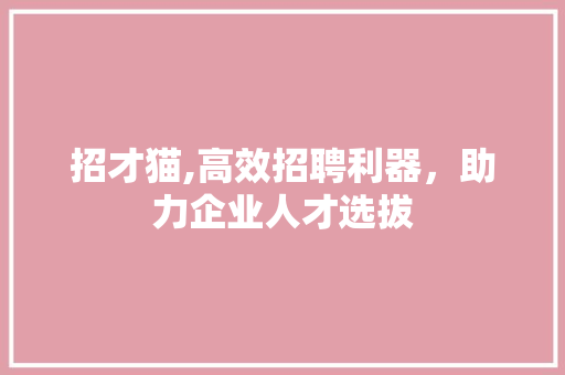 招才猫,高效招聘利器，助力企业人才选拔