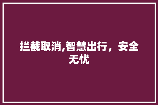拦截取消,智慧出行，安全无忧 Web前端