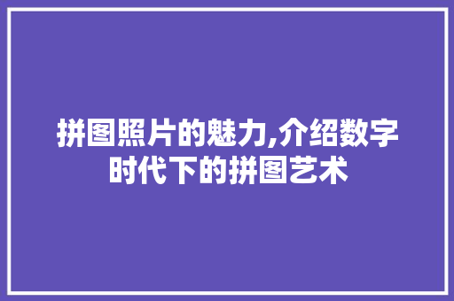 拼图照片的魅力,介绍数字时代下的拼图艺术