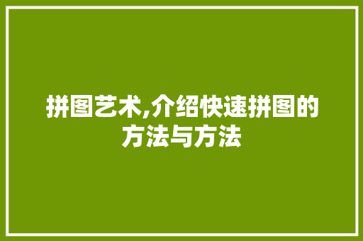 拼图艺术,介绍快速拼图的方法与方法