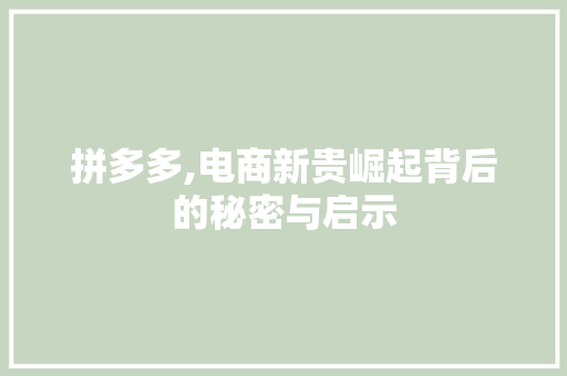 拼多多,电商新贵崛起背后的秘密与启示