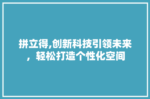 拼立得,创新科技引领未来，轻松打造个性化空间
