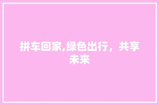 拼车回家,绿色出行，共享未来