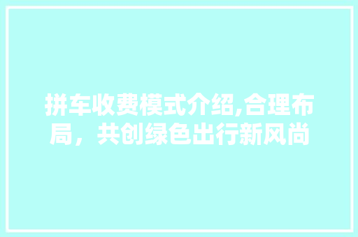 拼车收费模式介绍,合理布局，共创绿色出行新风尚