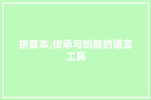 拼音本,传承与创新的语言工具