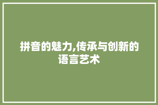 拼音的魅力,传承与创新的语言艺术