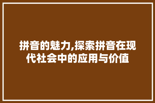 拼音的魅力,探索拼音在现代社会中的应用与价值