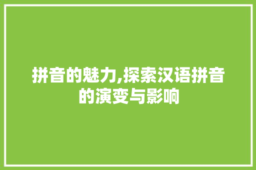 拼音的魅力,探索汉语拼音的演变与影响