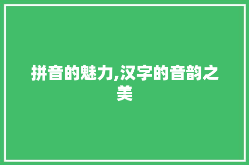 拼音的魅力,汉字的音韵之美