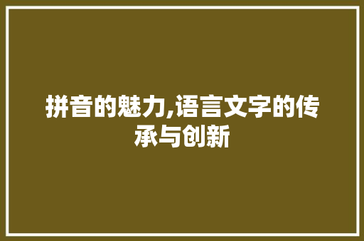拼音的魅力,语言文字的传承与创新