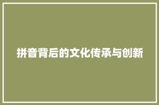 拼音背后的文化传承与创新