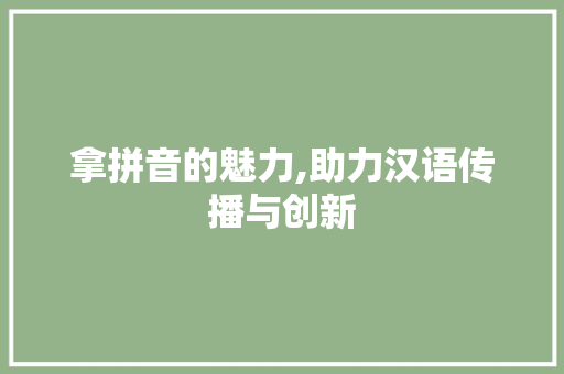 拿拼音的魅力,助力汉语传播与创新