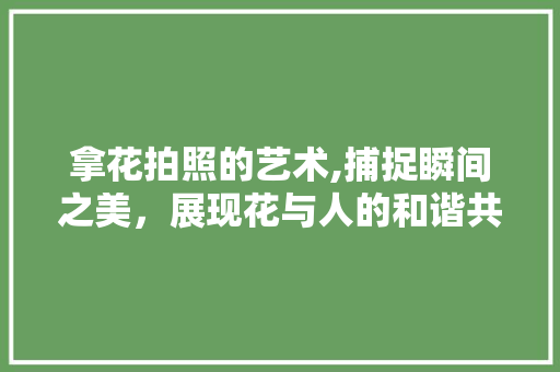 拿花拍照的艺术,捕捉瞬间之美，展现花与人的和谐共融