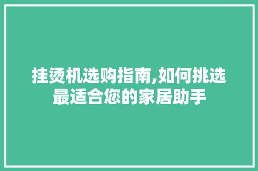 挂烫机选购指南,如何挑选最适合您的家居助手 挂烫机选购指南,如何挑选最适合您的家居助手