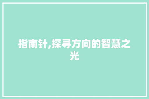 指南针,探寻方向的智慧之光 指南针,探寻方向的智慧之光