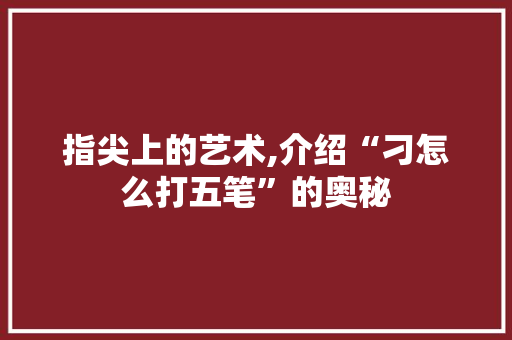 指尖上的艺术,介绍“刁怎么打五笔”的奥秘 建站教程