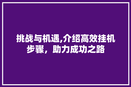 挑战与机遇,介绍高效挂机步骤，助力成功之路 WordPress教程