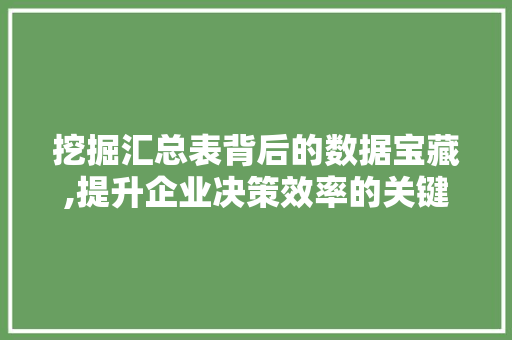 挖掘汇总表背后的数据宝藏,提升企业决策效率的关键