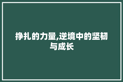 挣扎的力量,逆境中的坚韧与成长