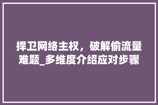 捍卫网络主权，破解偷流量难题_多维度介绍应对步骤