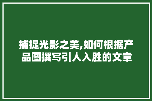 捕捉光影之美,如何根据产品图撰写引人入胜的文章