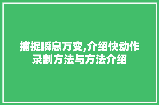 捕捉瞬息万变,介绍快动作录制方法与方法介绍