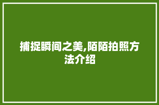 捕捉瞬间之美,陌陌拍照方法介绍
