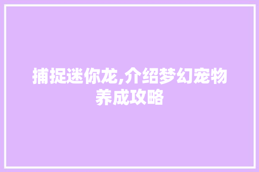 捕捉迷你龙,介绍梦幻宠物养成攻略