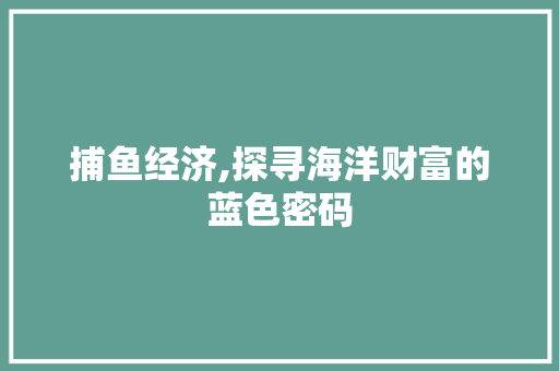 捕鱼经济,探寻海洋财富的蓝色密码