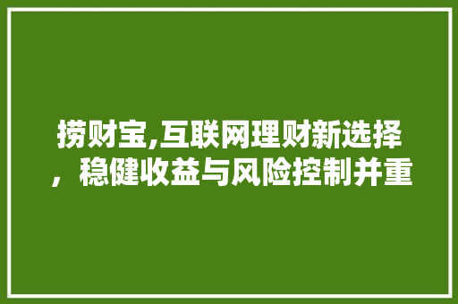 捞财宝,互联网理财新选择，稳健收益与风险控制并重