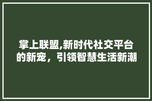掌上联盟,新时代社交平台的新宠，引领智慧生活新潮流