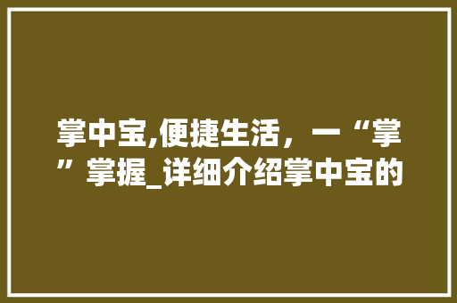 掌中宝,便捷生活，一“掌”掌握_详细介绍掌中宝的使用方法与优势